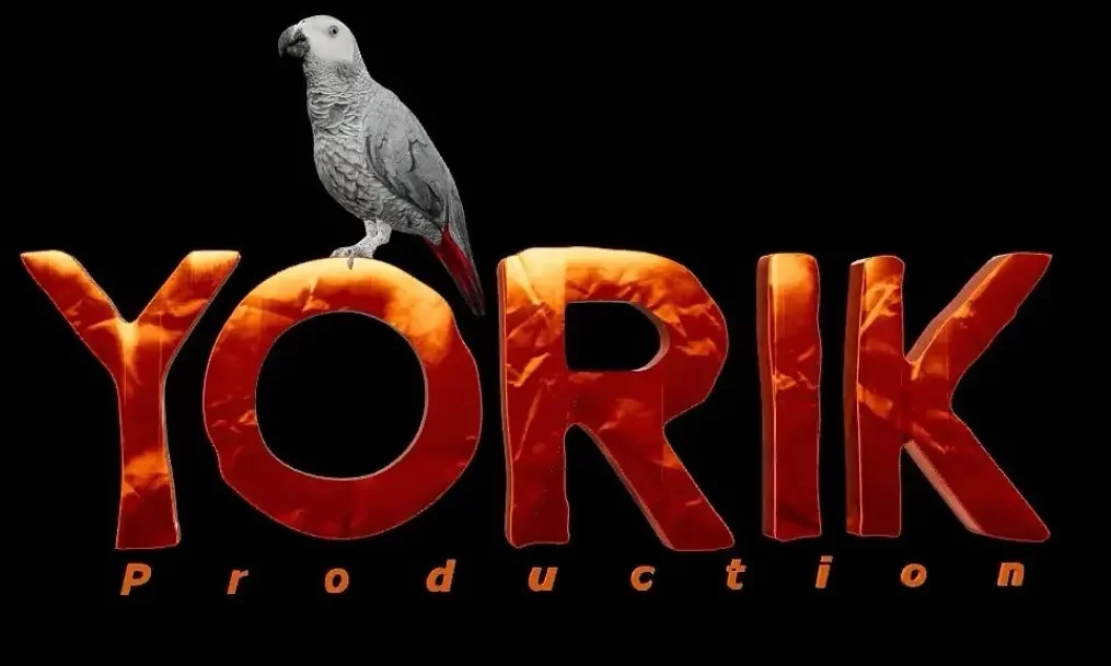 YORIK STUDIO