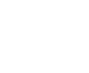Twin-Realty